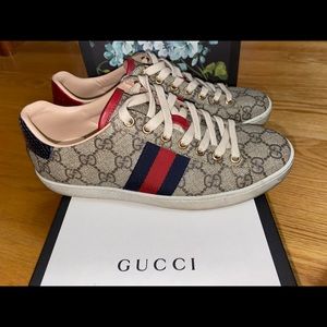 Gucci sneakers